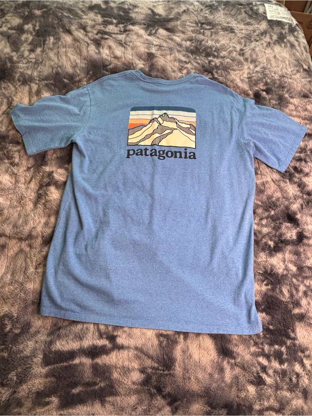 Patagonia Light Blue Mountain Graphic Short Sleeve Tee